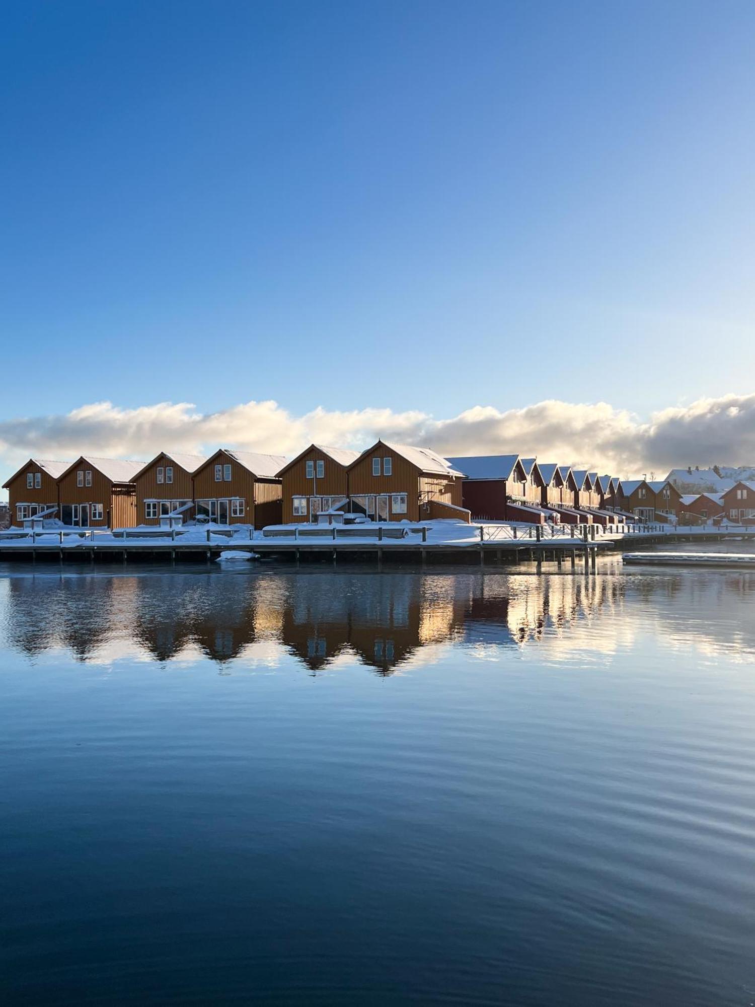 Charming Waterfront Cabin In Ballstad, Lofoten Esterno foto